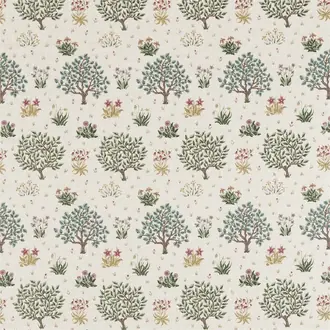 Orchard 226452