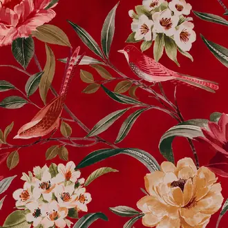 Shangri La Rosso