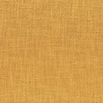 Dune 48623923