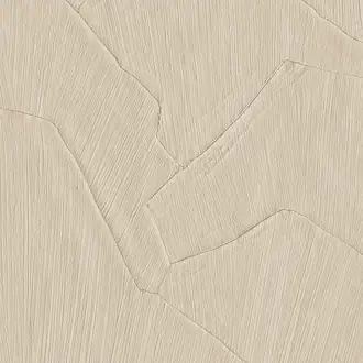 Shards 42505