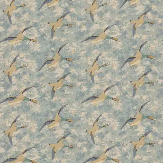 Forest Ducks FD2026-H101