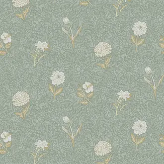 Dahlia OLI305