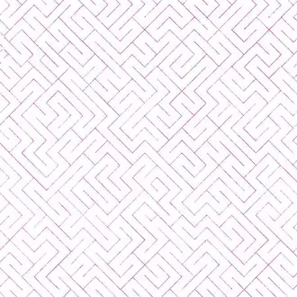 Triangulated Fuchsia