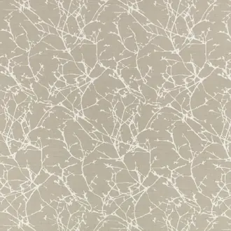Acacia 7758-09