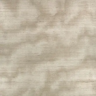Caractere ZW143-02