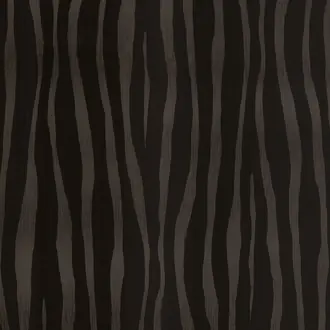 Skin 300551