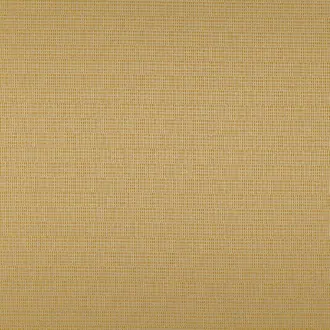 Bamboo Gold