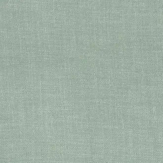 Kauri 36181989