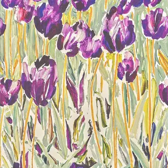 Black Tulips FP105001