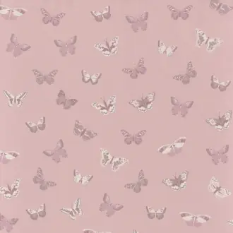 Let's Fly 10091 50 00