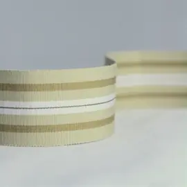 Narrow Woven Border NCT504-06
