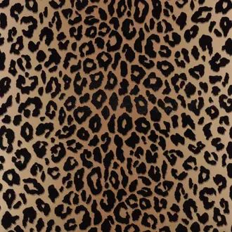 Mimi Wallcovering W454/01
