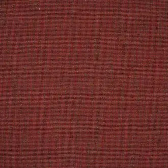 Terra JT013952-005