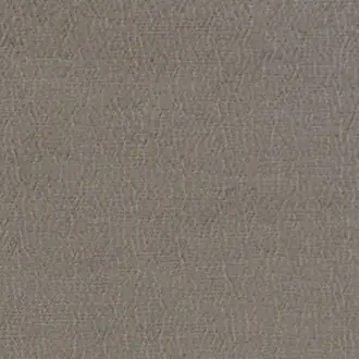 Anshu FDG2896-16