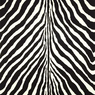 Bartlett Zebra Charcoal PRL5017-04