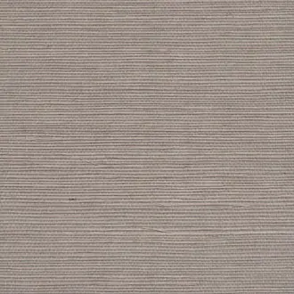 Grasscloth Silver Lining