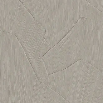 Shards 42507
