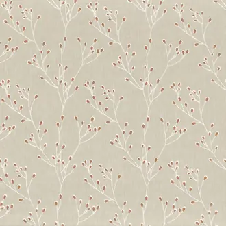 Papille 38110579