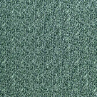 Pavo Celadon