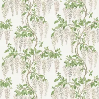 Wisteria Walk NCF4605-01