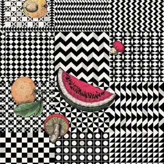 Frutta e Geometrico 123-6027