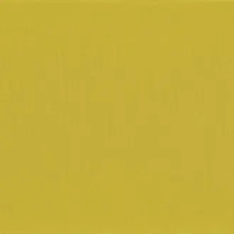 Newton Jaune Pop 2666 22 48