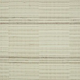 Root MW134-01