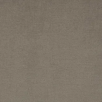 Fendii Pewter