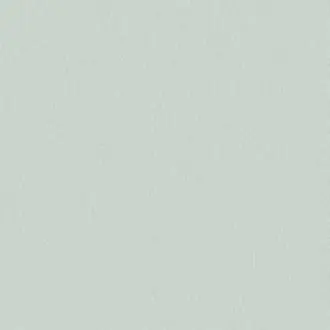 Papyrus 17361-013