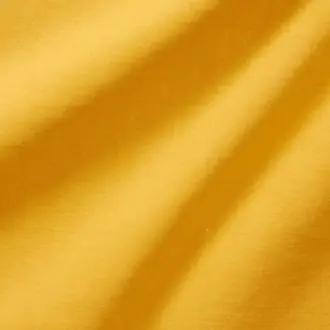 Canvas 10916115