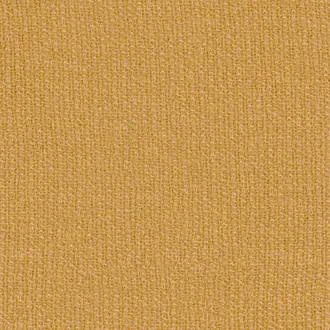 Temae 31441324