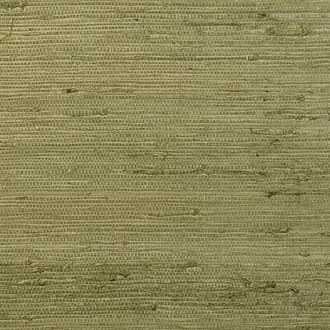 Kudzu 54530