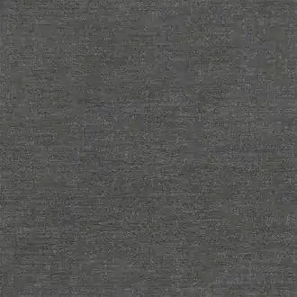 Selva 03 Graphite