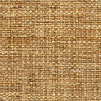Island Raffia Cannes Copper 3415-B