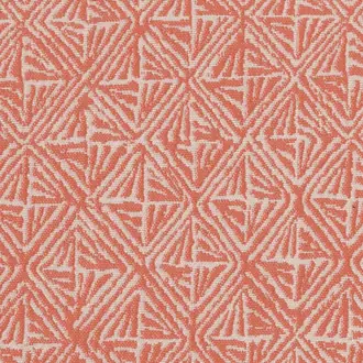 Basket Case 743-233