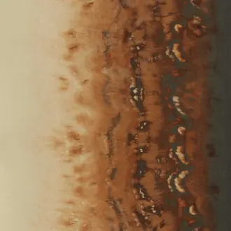 Disperse W0149-01