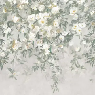 Ottavia Mural Lichen