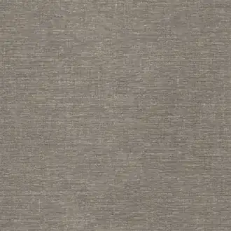 Selva 04 Ash