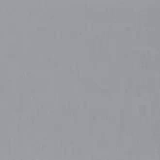 Silver Lining JA6149-050