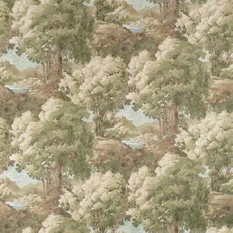 Woodland Clearing F910546