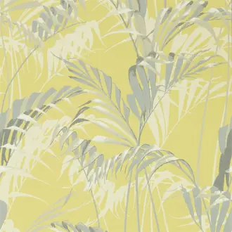 Palm House 216642