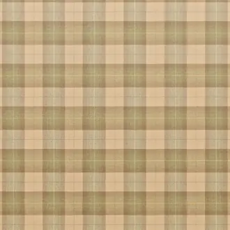 Barnfield Plaid FRL5185-01