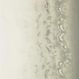 Disperse W0149-02