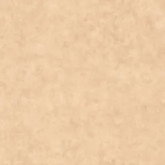 Beton Uni 101482446