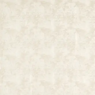 Nuvola F1551-01