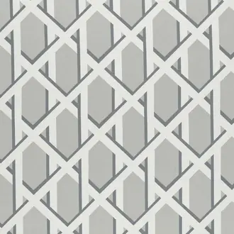 Lattice Dove
