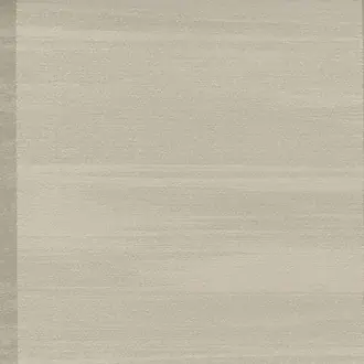 Raffia Stripe FR01029