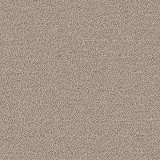 Dinton F7841-08