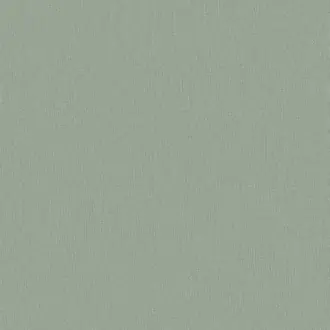 Papyrus 17361-016