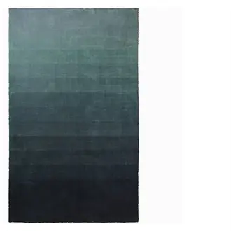 Capisoli Teal Rug